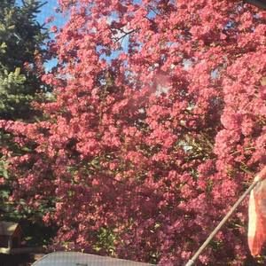 Meet your Posher, Becky